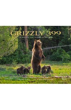 Grizzly 399: The World\'s Most Famous Mother Bear - Thomas D. Mangelsen