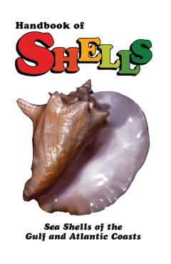 Handbook of Shells: Sea Shells of the Gulf and Atlantic Coasts - Lula Siekman