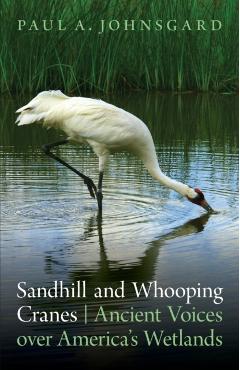 Sandhill and Whooping Cranes: Ancient Voices Over America's Wetlands - Paul A. Johnsgard