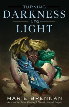 Turning Darkness Into Light - Marie Brennan