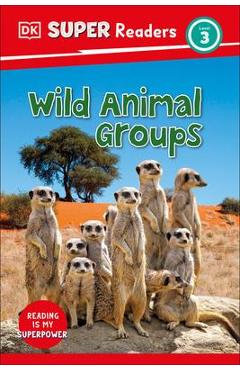 DK Super Readers Level 3 Wild Animal Groups - Dk