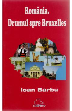 Drumul spre Bruxelles - Ioan Barbu