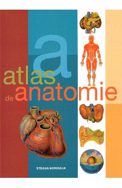 Atlas de anatomie - Dr. Adolfo Cassan