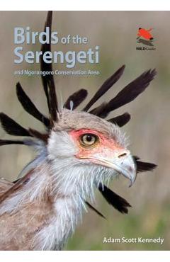 Birds of the Serengeti: And Ngorongoro Conservation Area - Adam Scott Kennedy