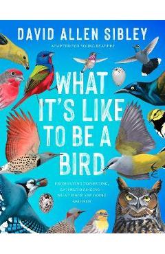What It\'s Like to Be a Bird (Adapted for Young Readers): From Flying to Nesting, Eating to Singing--What Birds Are Doing, and Why - David Allen Sibley