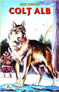 Colt Alb - Jack London - TEDIT