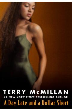 A Day Late and a Dollar Short - Terry Mcmillan