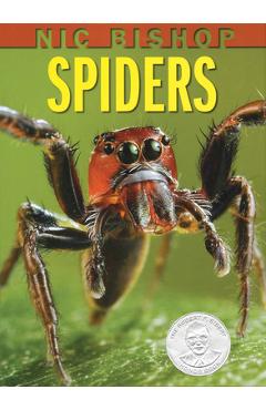 Nic Bishop: Spiders - Nic Bishop