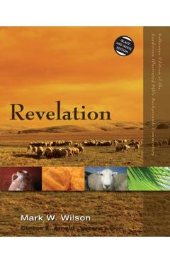 Revelation - Mark W. Wilson