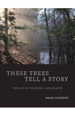 These Trees Tell a Story: The Art of Reading Landscapes