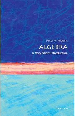 Algebra: A Very Short Introduction - Peter M. Higgins