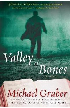 Valley of Bones - Michael Gruber