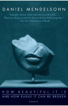 How Beautiful It Is and How Easily It Can Be Broken: Essays - Daniel Mendelsohn