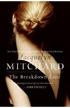 The Breakdown Lane - Jacquelyn Mitchard
