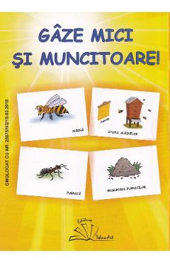 Gaze mici si muncitoare! - Dosa Daniela - TEHNO-ART