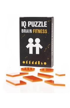 IQ Puzzle: Gemeni