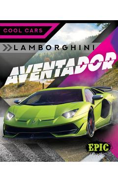 Lamborghini Aventador - Kaitlyn Duling