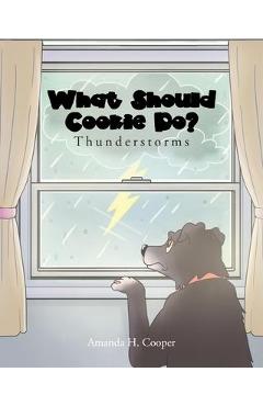 What Should Cookie Do?: Thunderstorms - Amanda H. Cooper