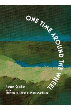 One Time Around the Wheel - Sean Croke