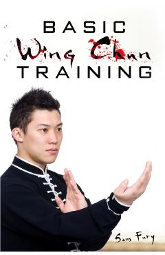Basic Wing Chun Training: Wing Chun Street Fight Training and Techniques - Sam Fury