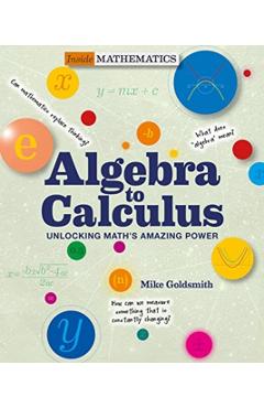 Algebra to Calculus: Unlocking Math\'s Amazing Power - Mike Goldsmith