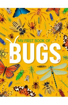 My First Book of Bugs: An Awesome First Look at Insects and Spiders - Emily Kington