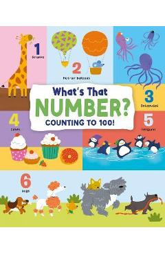 What's That Number?: Counting to 100