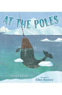 At the Poles - David Elliott
