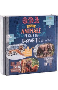 Puzzle 150 de piese. Oda pentru Animale pe cale de disparitie din Asia: Tigrul Siberian, Urangutanul si Elefantul Asiatic