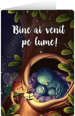 Felicitare: bine ai venit pe lume. insomniac