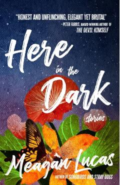 Here in the Dark: Stories - Meagan Lucas