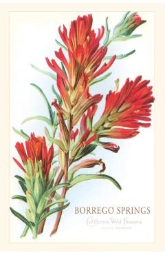 Vintage Journal Borrego Springs, Wildflowers - Found Image Press