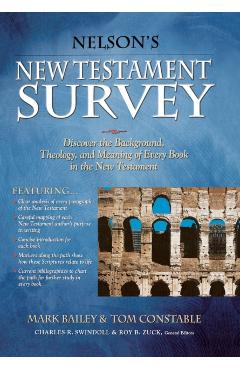 Nelson's New Testament Survey: Discovering the Essence, Background and Meaning about Every New Testament Book - Mark Bailey