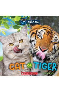 Cat or Tiger (Wild World: Pets and Wild Animals) - Brenna Maloney