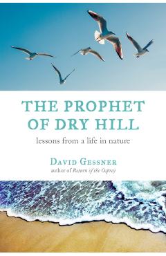 The Prophet of Dry Hill: Lessons from a Life in Nature - David Gessner