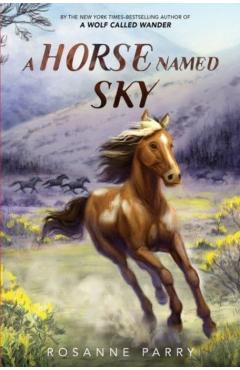A Horse Named Sky - Rosanne Parry