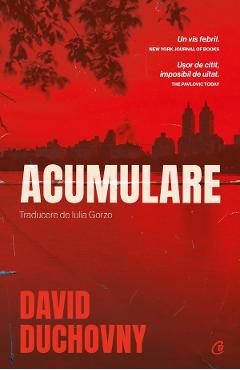 Acumulare - David Duchovny - CURTEA VECHE