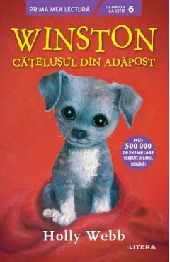 Winston, catelusul din adapost - holly webb