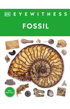 Eyewitness Fossil - Dk