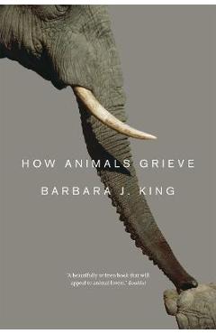 How Animals Grieve - Barbara J. King