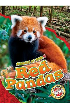 Red Pandas - Rachel Grack
