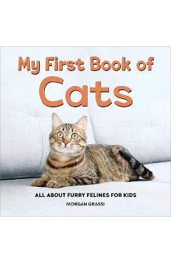 My First Book of Cats: All about Furry Felines for Kids - Morgan Grassi