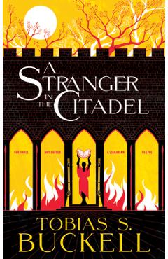 A Stranger in the Citadel - Tobias Buckell