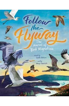 Follow the Flyway: The Marvel of Bird Migration - Sarah Nelson