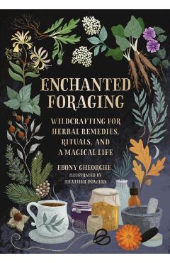 Enchanted Foraging: Wildcrafting for Herbal Remedies, Rituals, and a Magical Life - Ebony Gheorghe
