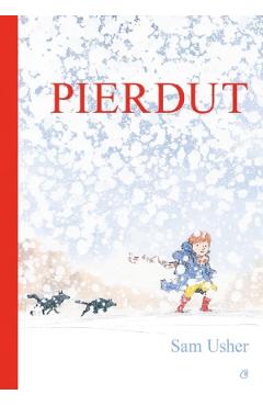 Pierdut - sam usher