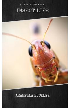 Insect Life - Arabella Buckley