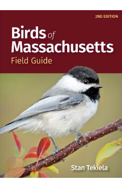 Birds of Massachusetts Field Guide - Stan Tekiela