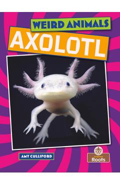 Axolotl - Amy Culliford