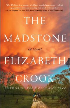 The Madstone - Elizabeth Crook